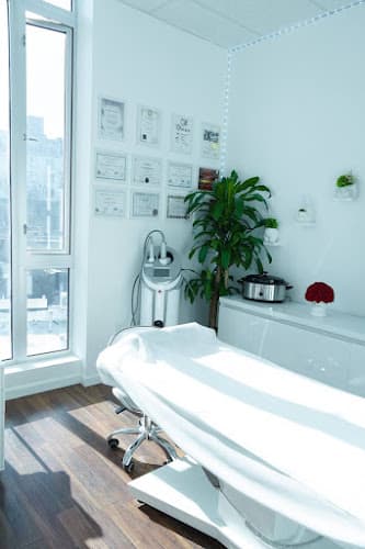 Laser Hair Removal, Endospheres Therapy, Electrolysis, Massage, Eyelash Extensions, Facials | Zvir Esthetics